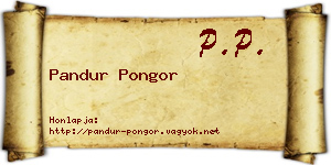 Pandur Pongor névjegykártya